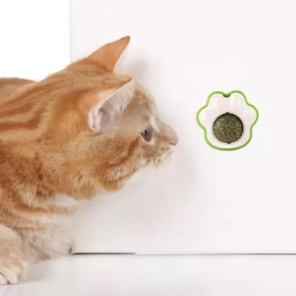 Catnip