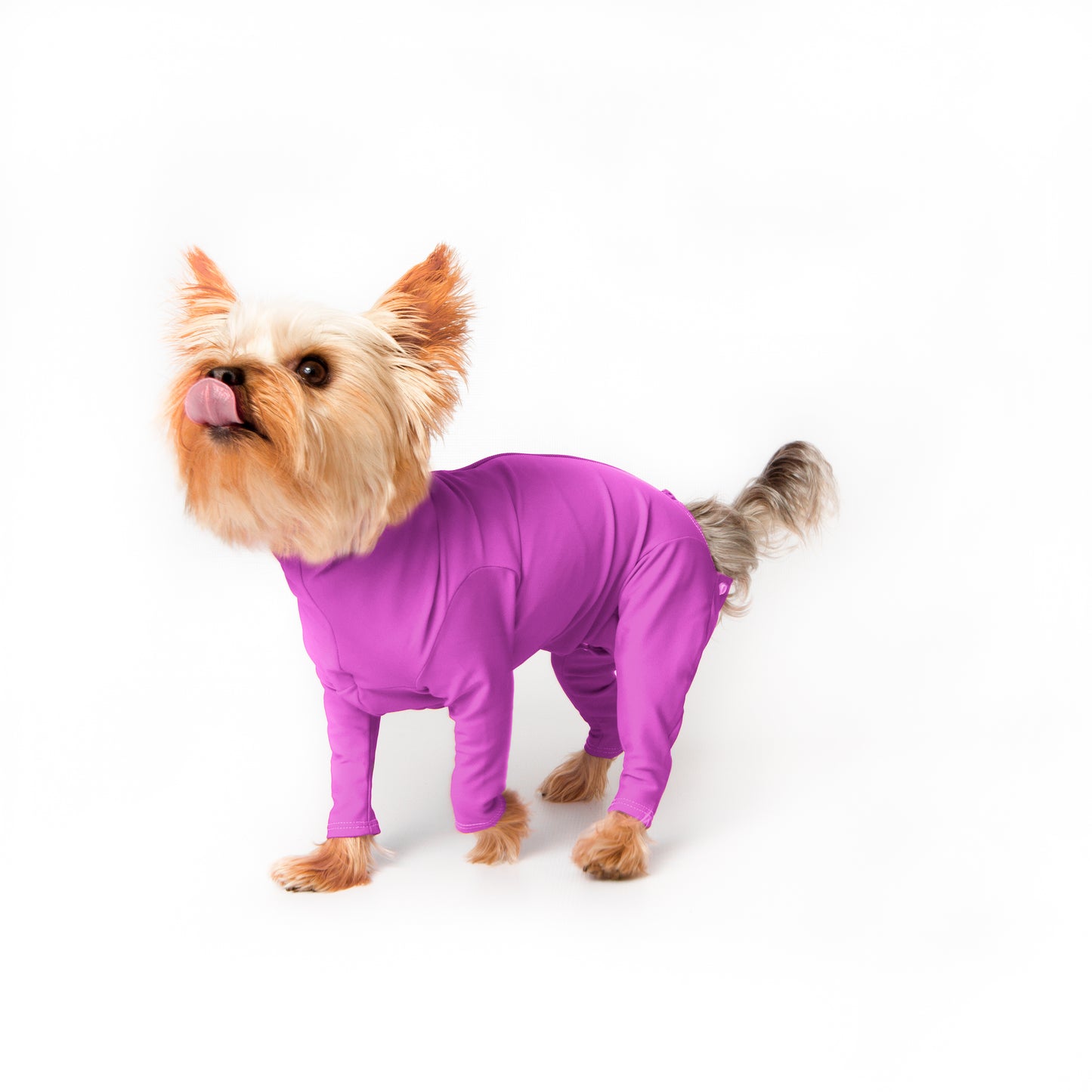 Enterizo para perro Orquídea