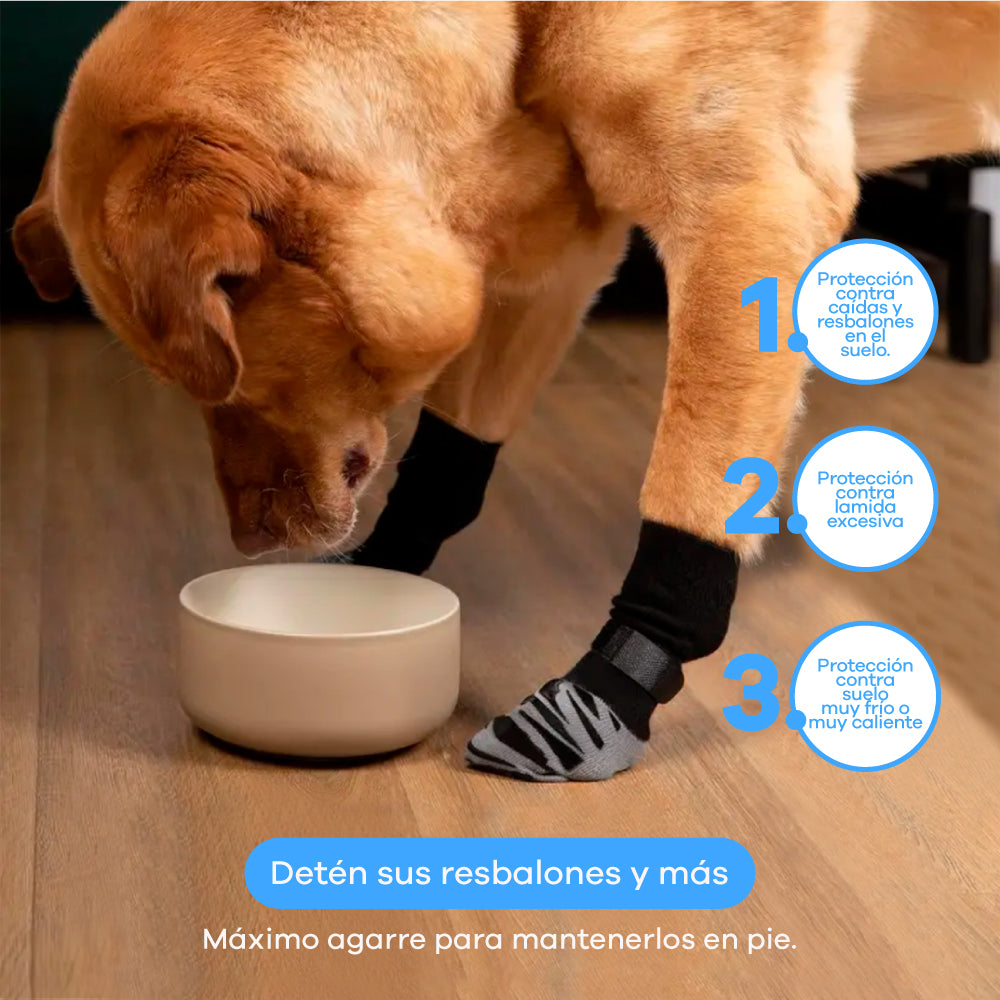 Medias para perro antideslizantes