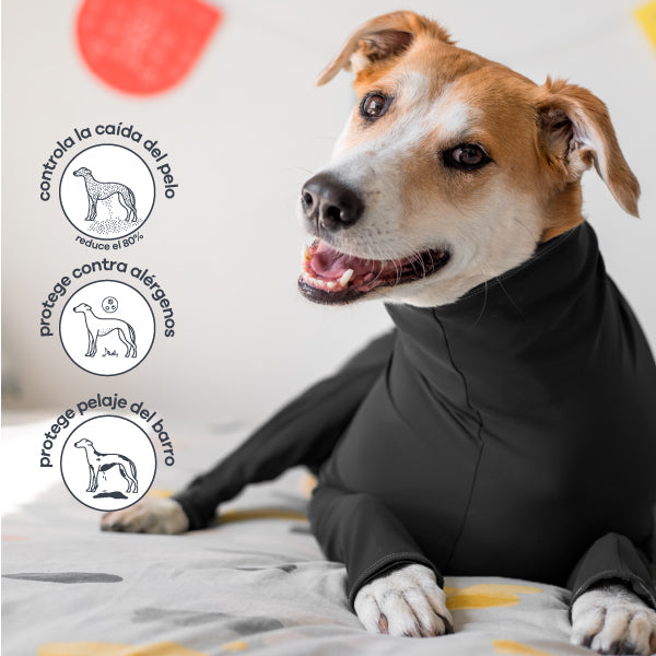 Enterizo para perro Verde Oliva
