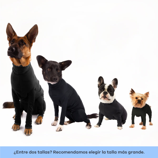 Enterizo para perro Mocca