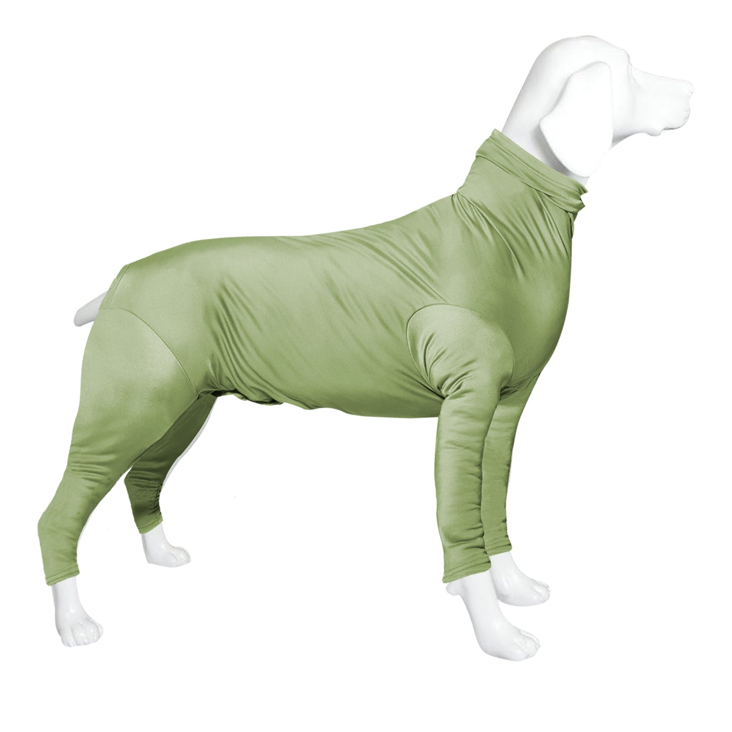 Enterizo para perro Pistacho