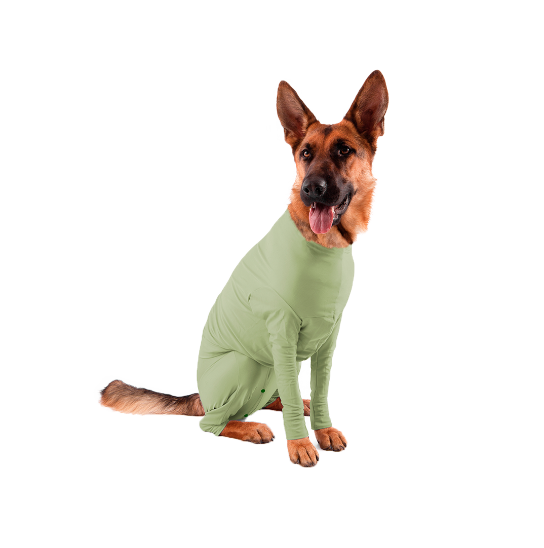 Enterizo para perro Pistacho