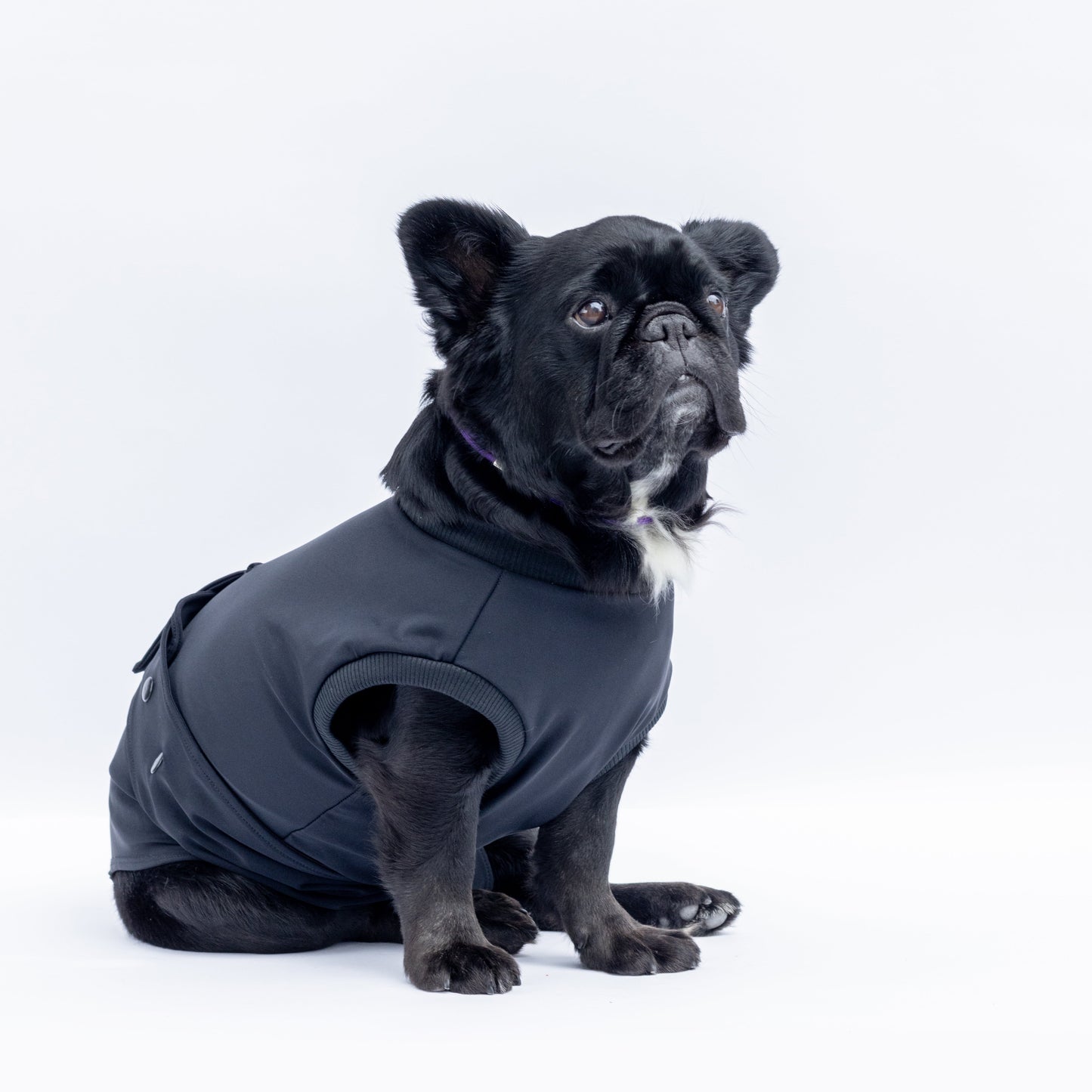Enterizo Médico para perro