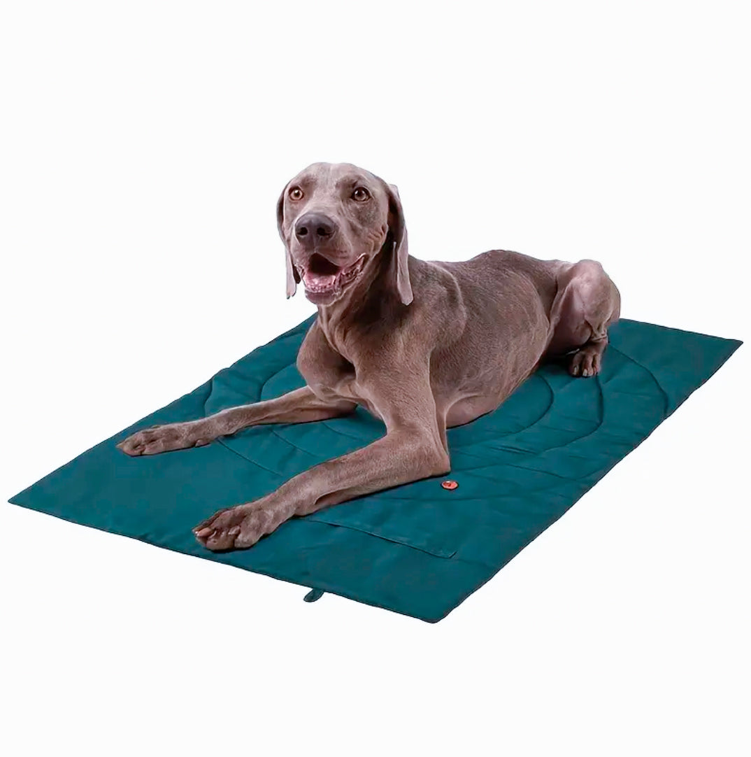 Dog Mat – illi and blu