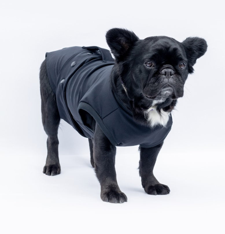 Enterizo Médico para perro