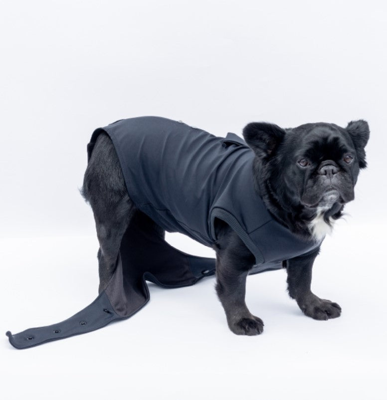 Enterizo Médico para perro
