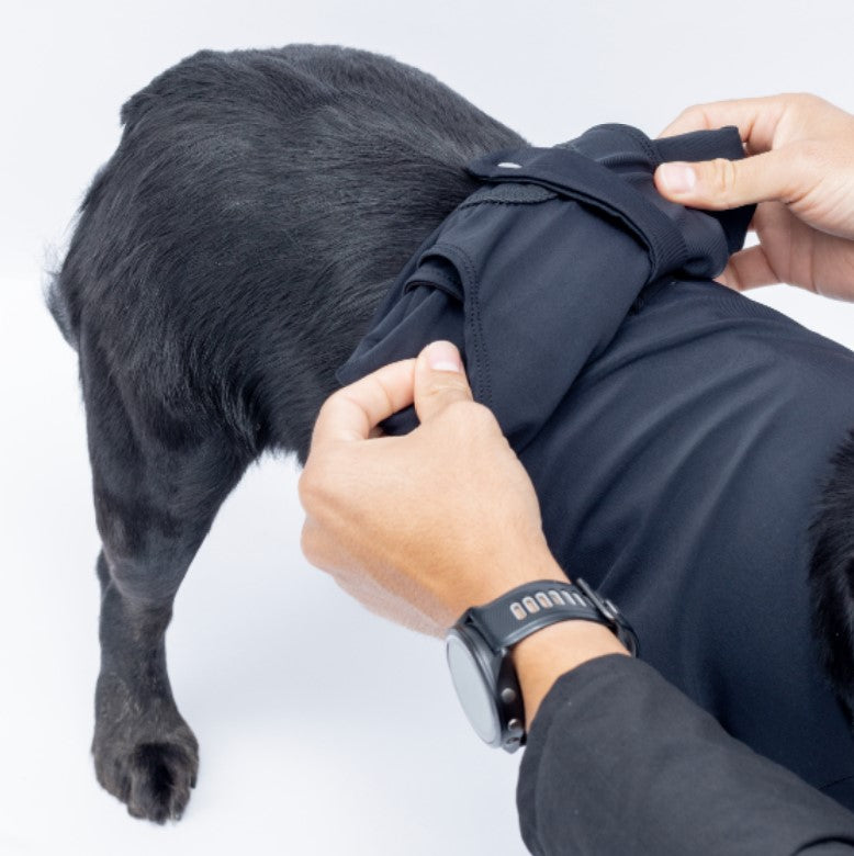 Enterizo Médico para perro