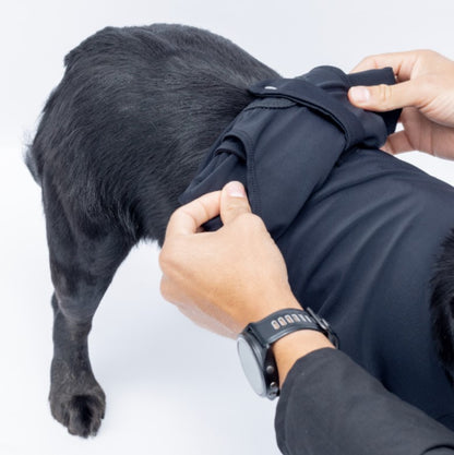 Enterizo Médico para perro