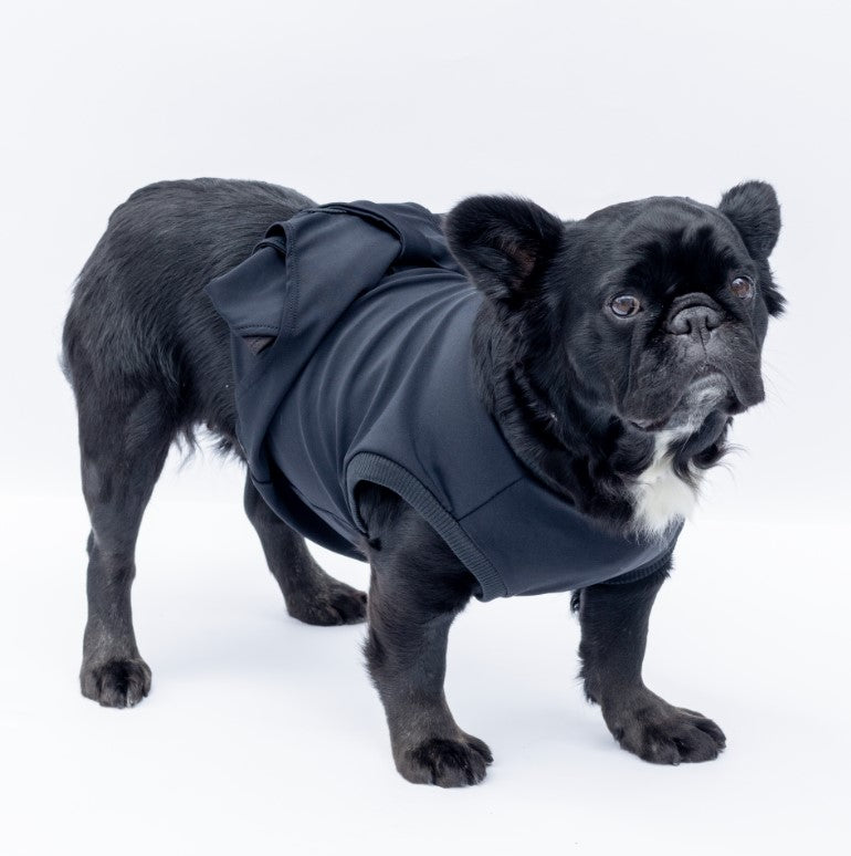 Enterizo Médico para perro